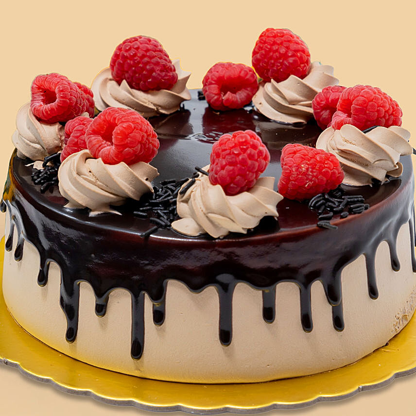 Decadent Chocolate Raspberry Cake